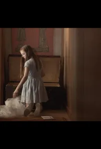 Невеста в сундуке (фильм 2022)