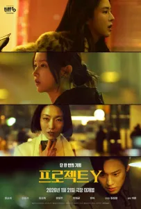 Проект Y (фильм 2025)