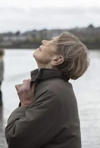 Найти Элизабет (фильм 2019)